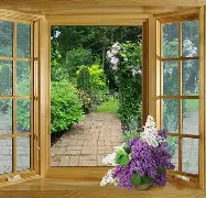 20242025葡超积分榜